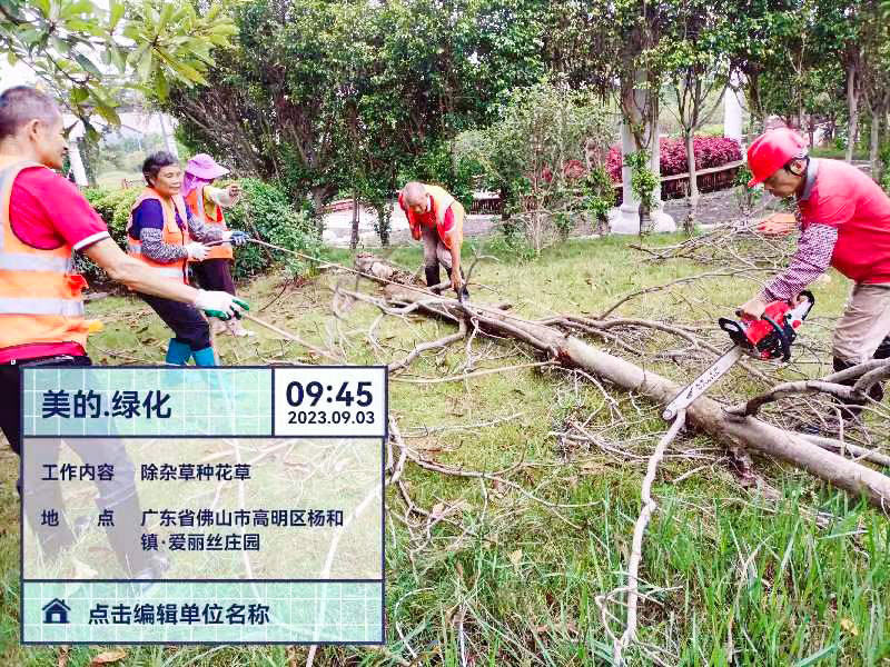 綠化養(yǎng)護(hù)