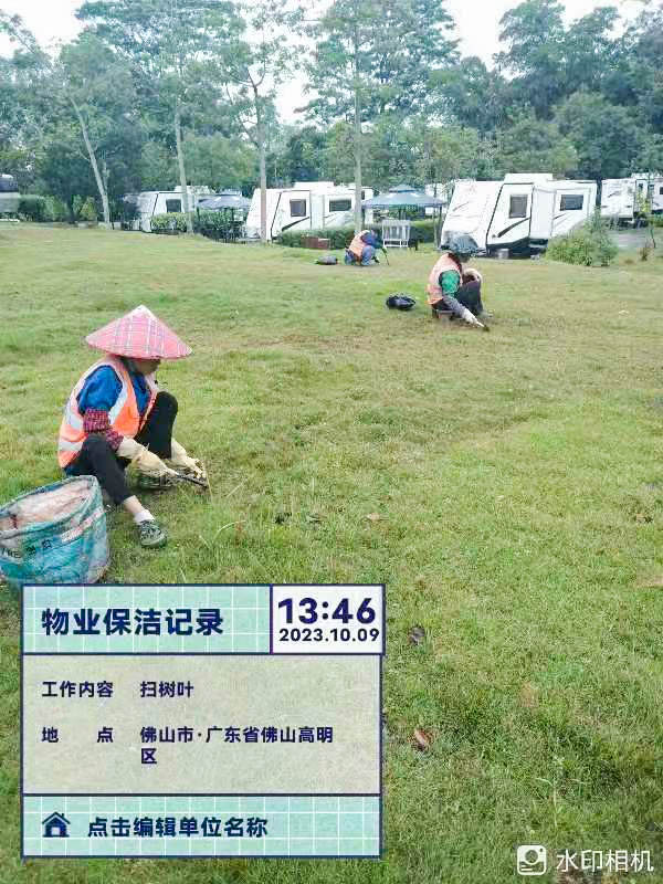 無(wú)花果,廣州綠化公司