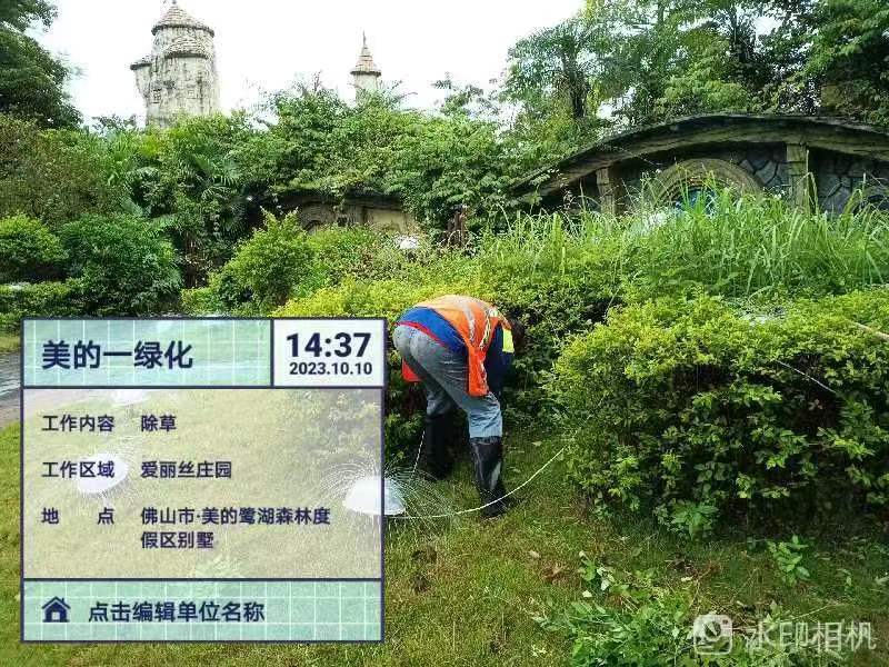 綠化公司,四葉草